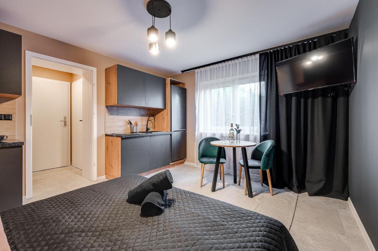 Loft House Apartment Studio Z Ogrodkiem 1 Rybnik  Esterno foto