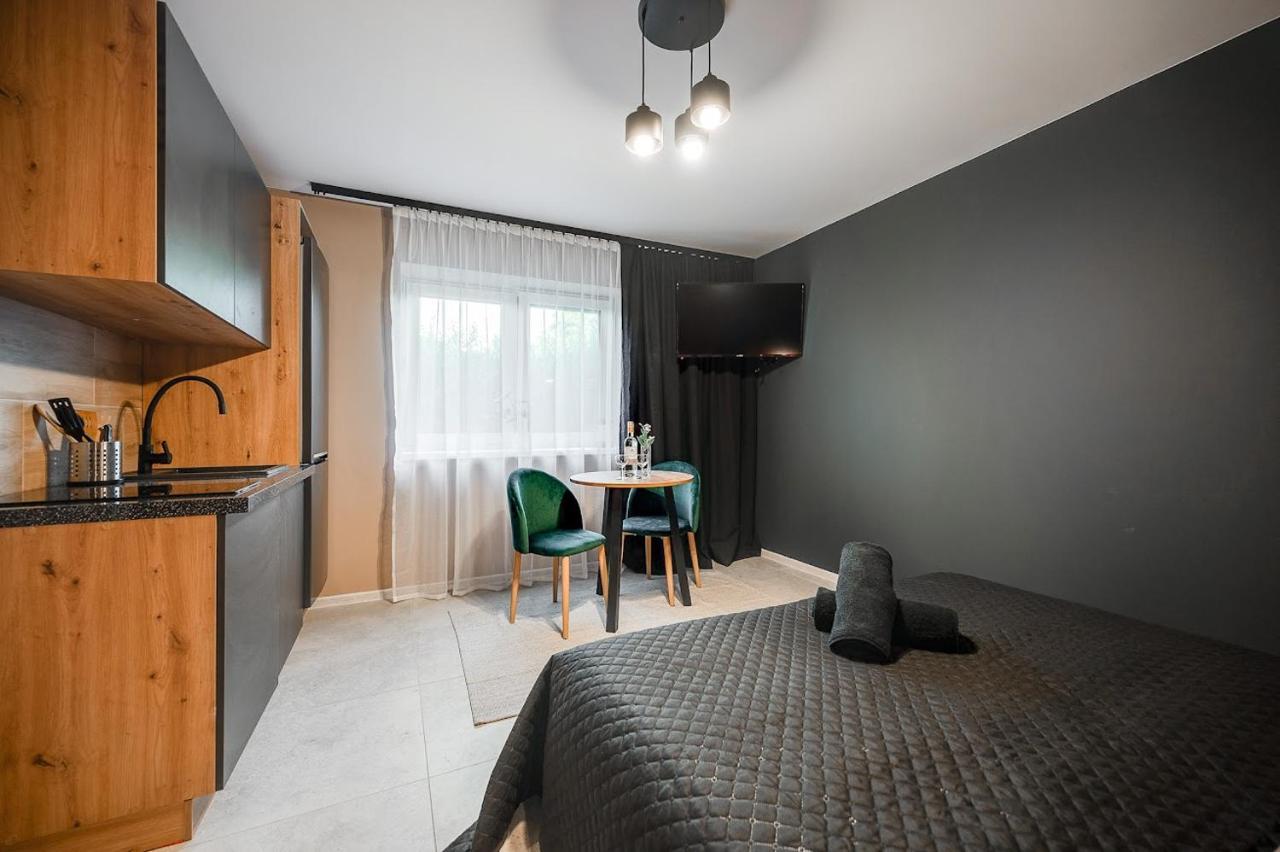 Loft House Apartment Studio Z Ogrodkiem 1 Rybnik  Esterno foto